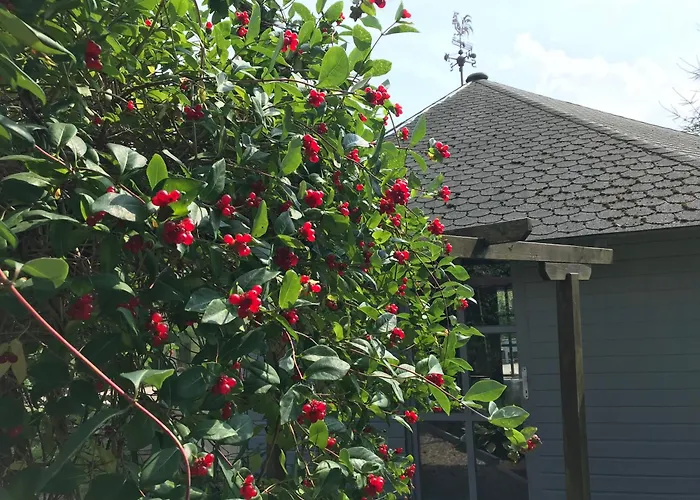 Agroturismo Dworek Tradycja Łobez